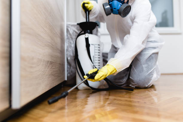 Best Affordable Pest Control Services  in Inglenook, CT