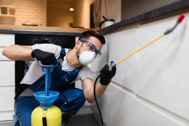 Best Pest Removal Services  in Inglenook, CT