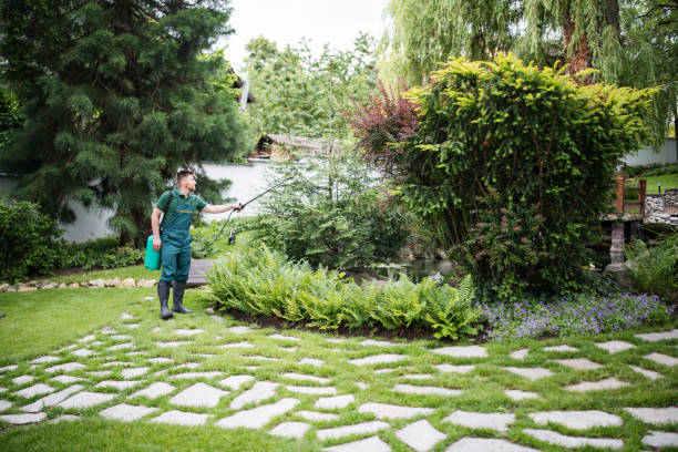 Best Residential Pest Control  in Inglenook, CT
