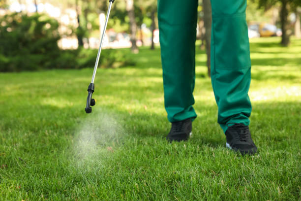 Best Pest Inspection Near Me  in Inglenook, CT
