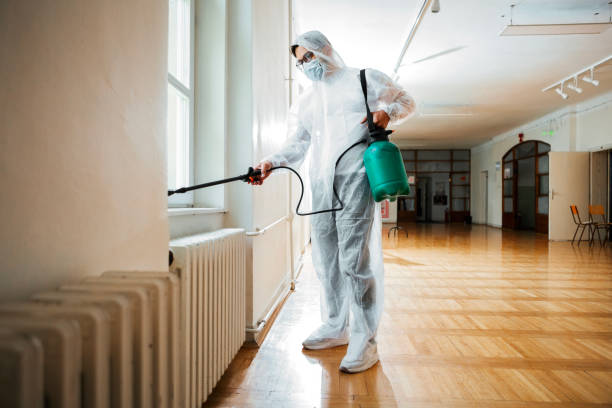 Best Pest Control Near Me  in Inglenook, CT