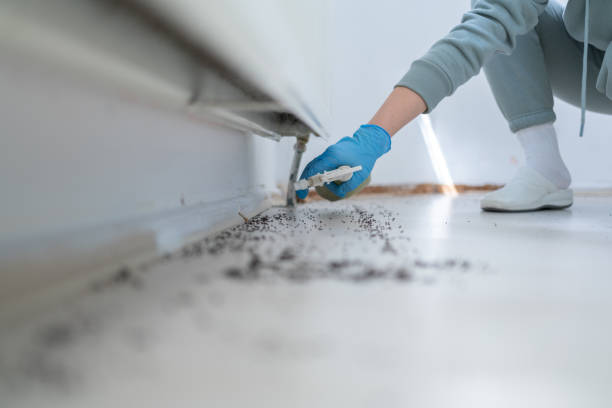 Best Best Pest Control Companies  in Inglenook, CT