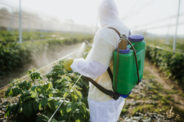 Trusted Inglenook, CT Pest Control Experts